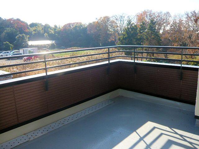 View photos from the dwelling unit. This landscape, It will be healed.