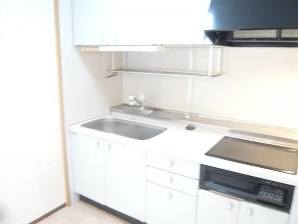 Kitchen. Using the IH stove, White Kitchen. Clean feeling good.
