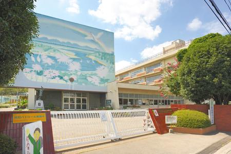 Primary school. Tanida until elementary school 320m