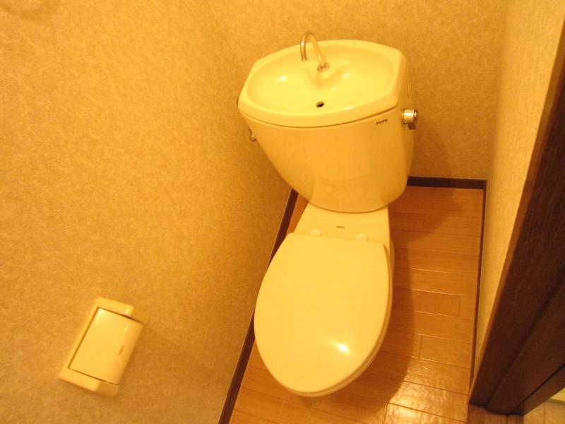 Toilet