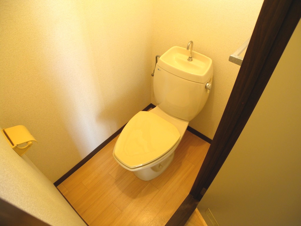 Toilet. Toilet is equipped with window