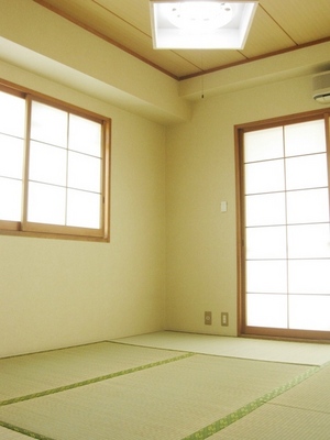 Living and room. Bright two-sided lighting Japanese-style room