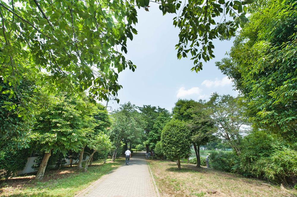 Other. Green flourish in rich refreshing Shirahata green road. The season of cherry blossoms, While cherry-blossom viewing can enjoy a stroll. The green road aside swamp Shirahata is Nestled, You can observe the waterside of the flora and fauna. 