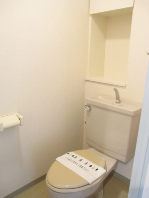 Toilet. Niche + with shelf