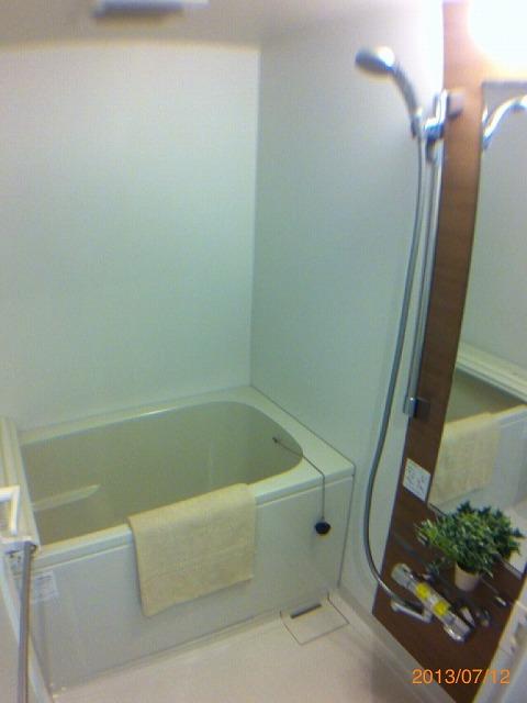 Bathroom. Local (July 2013) Shooting