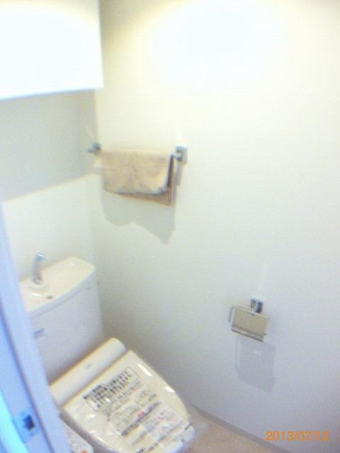 Toilet. Local (July 2013) Shooting