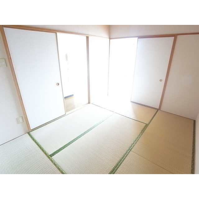 Other room space. Japanese style room