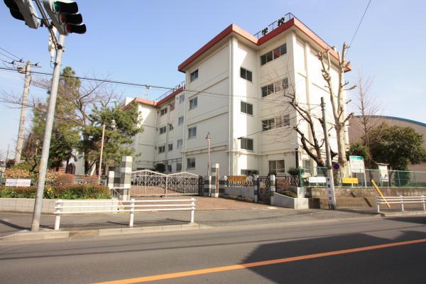 Primary school. 700m up to elementary school Buzo elementary school