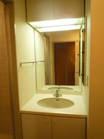 Washroom. Bathroom vanity