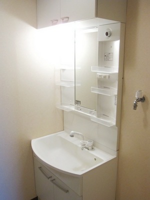 Washroom. It is a great shampoo dresser