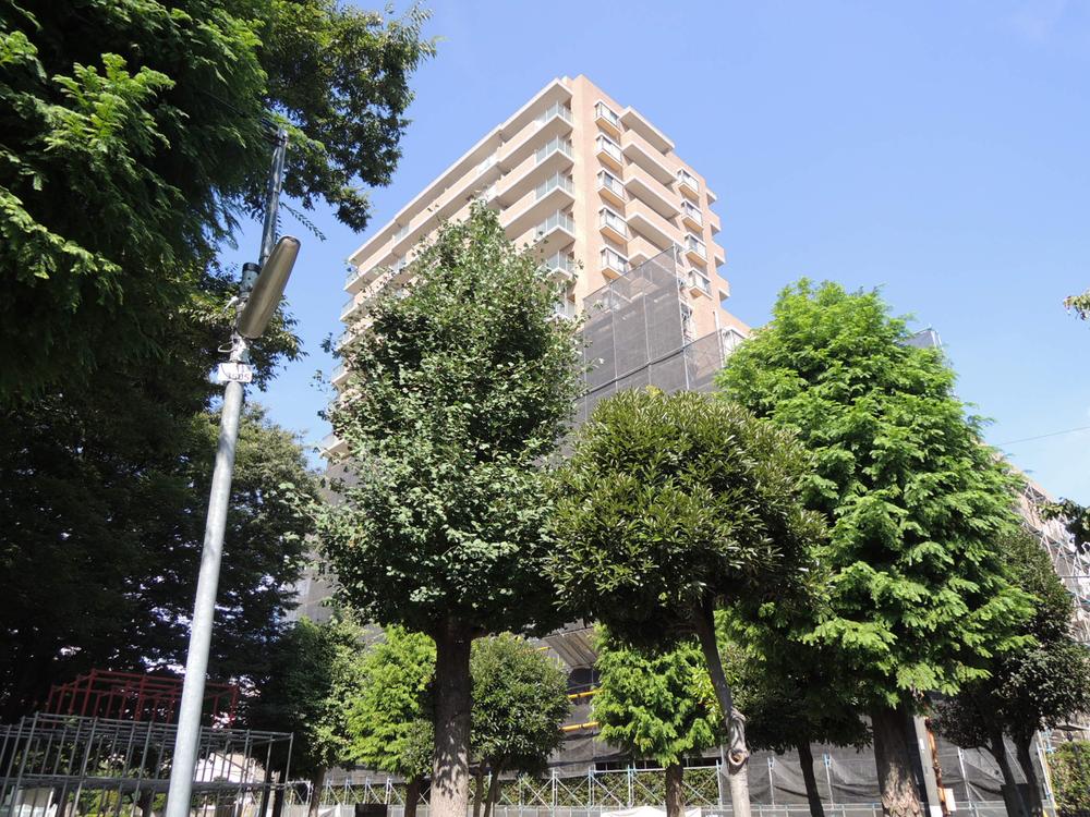 Local appearance photo. Local (September 2013) Shooting