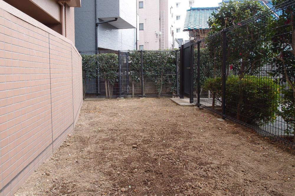 Garden. Private garden (January 2014) Shooting