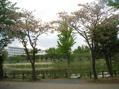 park. Shirahata swamp until the (park) 1060m