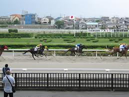 Other. Walk up to Urawa Racecourse 7 minutes