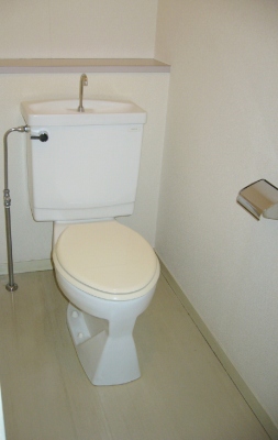 Toilet. The same type room reference photograph
