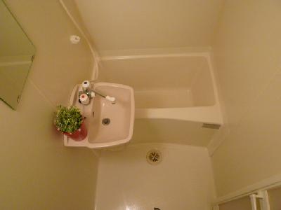 Bath. Bathroom ventilation dryer with bustle - No