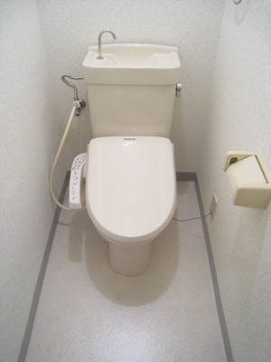 Toilet. Toilet seat with a bidet