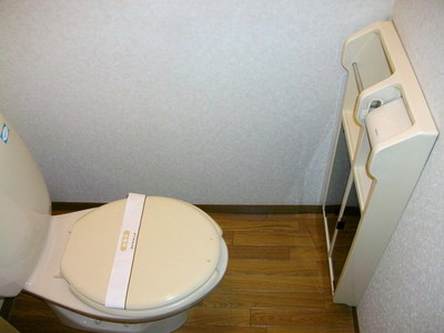 Toilet. Toilet with cleanliness