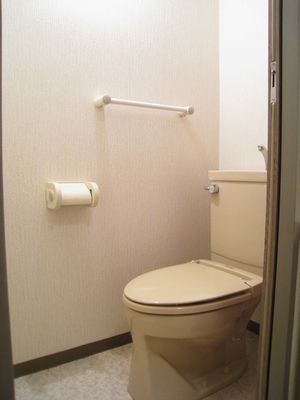 Toilet. Heating function with a toilet seat (product There is no guarantee)