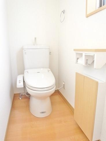 Toilet. There is cleaning toilet seat.