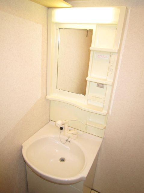 Washroom. Vanity with a Shadore