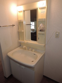 Washroom. Shower Dresser