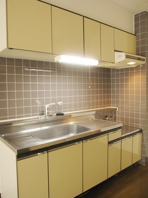 Kitchen. You can gas stove installation