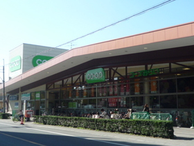 Supermarket. 1200m to the Co-op (super)