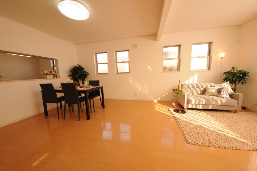 Living. Indoor (12 May 2013) Shooting