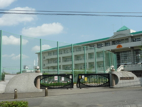 Primary school. 130m to improve elementary school (elementary school)