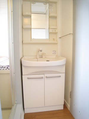 Washroom. Ease also want to in the morning with shampoo dresser