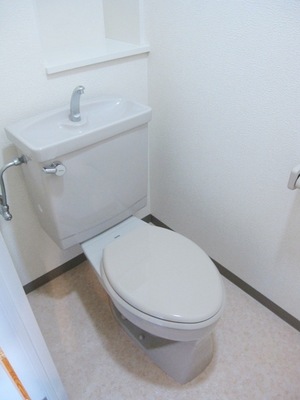 Toilet. Storage is also substantial