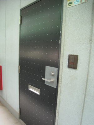 Entrance. Stylish door of polka dots