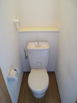 Toilet. Towel rack and a shelf glad toilet