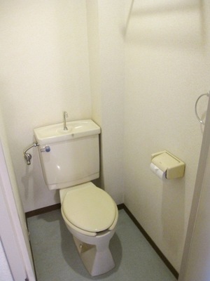 Toilet. Bathroom