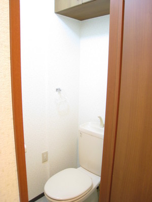 Toilet. Storage room of the spacious toilet