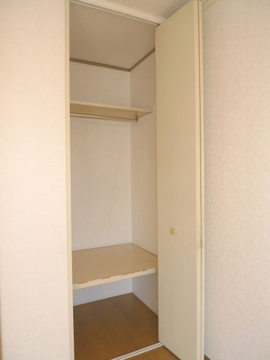 Other. It is a closet!