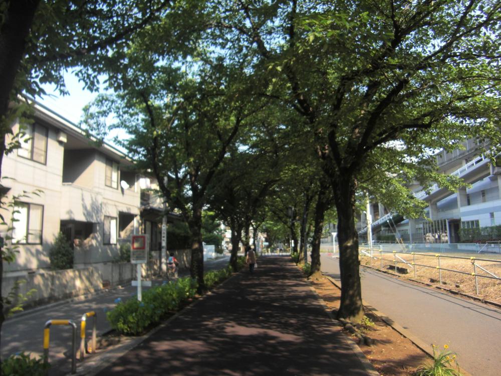 Streets around. Flowers and 240m until the green promenade