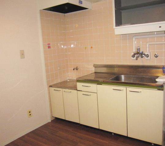 Kitchen. Indoor (12 May 2013) Shooting