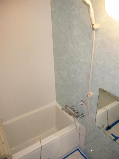 Bathroom. Indoor (12 May 2013) Shooting