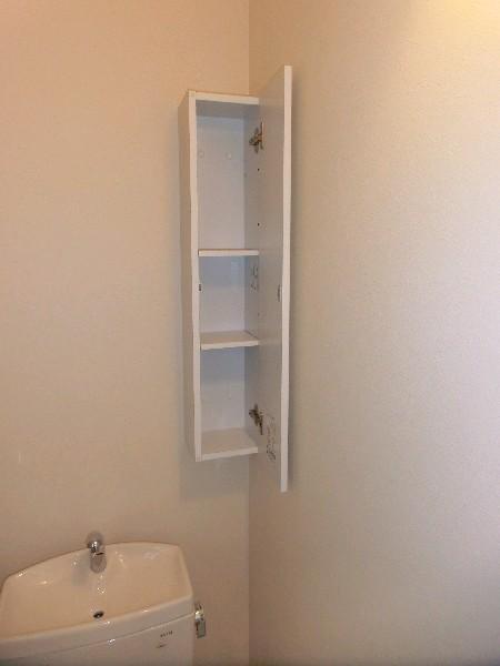 Toilet. It survives little storage space is very.