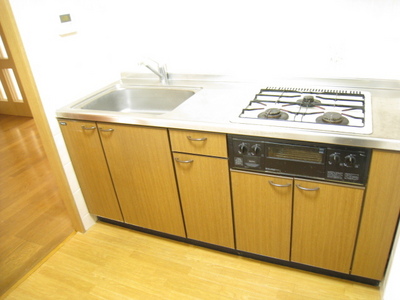 Kitchen. System kitchen