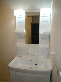 Washroom. Bathroom Vanity