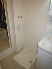 Washroom. Laundry Area