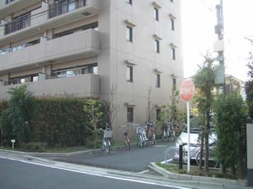 Local appearance photo