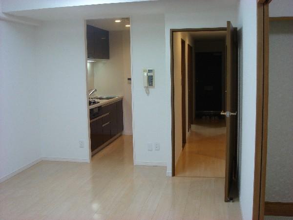 Living. Mansion interior introspection Pictures - kitchen area from the living living