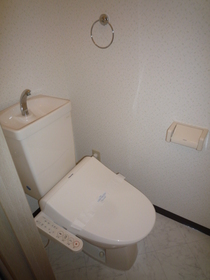 Toilet. Warm water washing toilet seat (new)