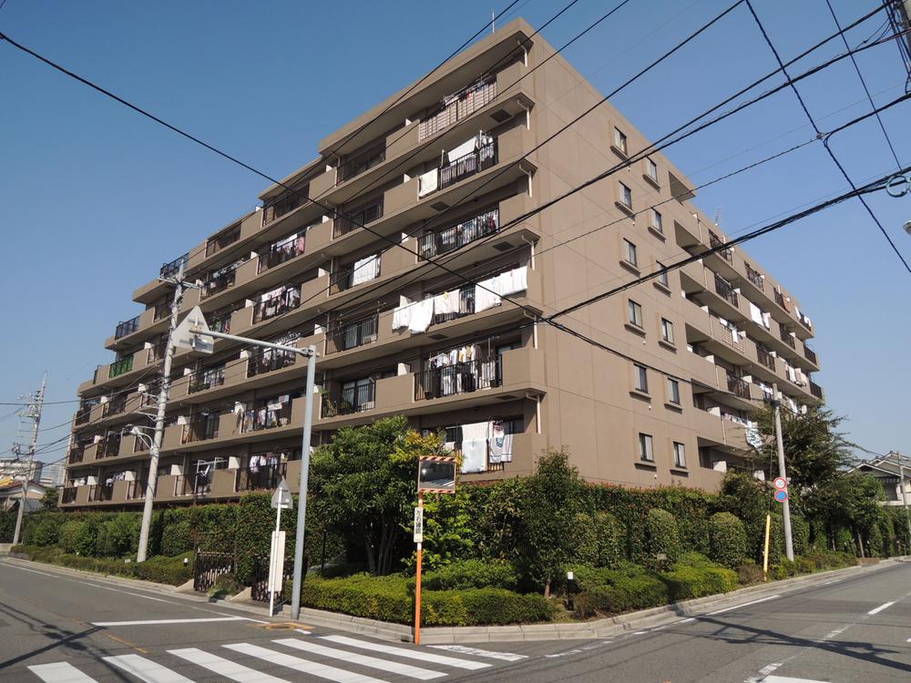 Local appearance photo. Local (September 2013) Shooting