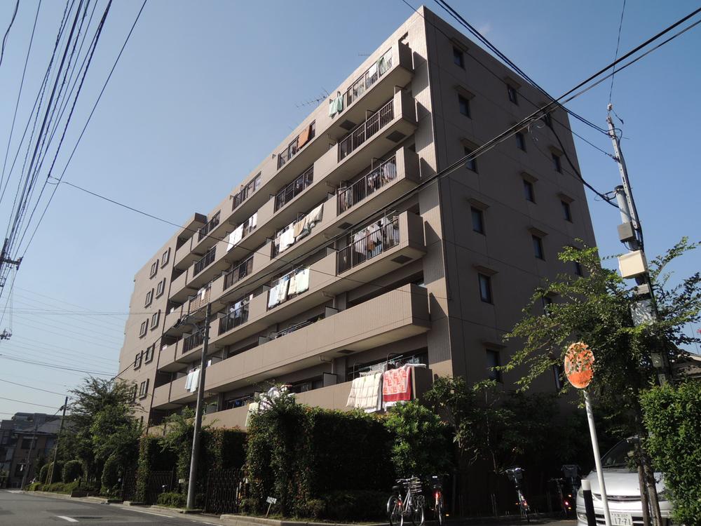 Local appearance photo. Local (September 2013) Shooting