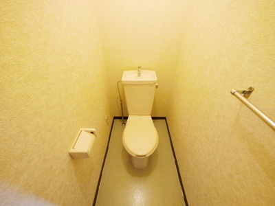 Toilet. Toilet